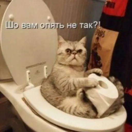 ГРУПИ pixel ГРУПИ pixel ГРУПИ pixel ГРУПИ pixel ГРУПИ pixel ГРУПИ pixel
